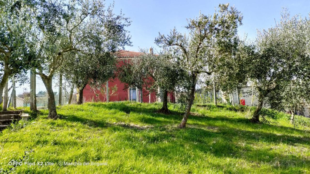 Montefalcione Agriturismo Macchia Dei Briganti - B&B المظهر الخارجي الصورة