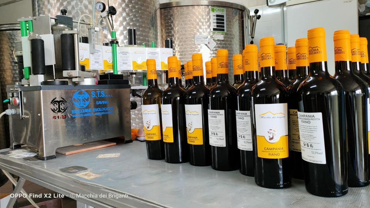 Montefalcione Agriturismo Macchia Dei Briganti - B&B المظهر الخارجي الصورة