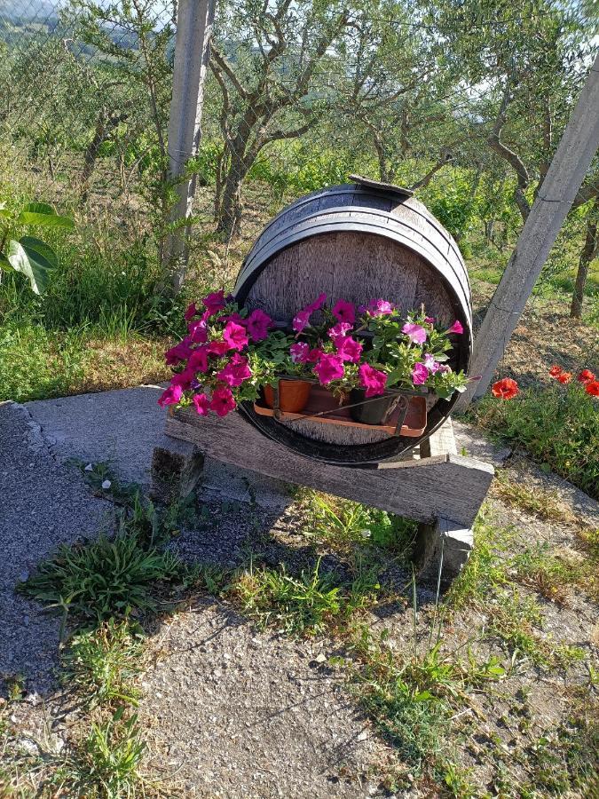 Montefalcione Agriturismo Macchia Dei Briganti - B&B المظهر الخارجي الصورة